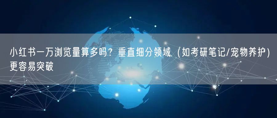 小红书一万浏览量算多吗？垂直细分领域（如考研笔记/宠物养护）更容易突破