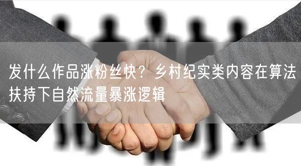 发什么作品涨粉丝快？乡村纪实类内容在算法扶持下自然流量暴涨逻辑