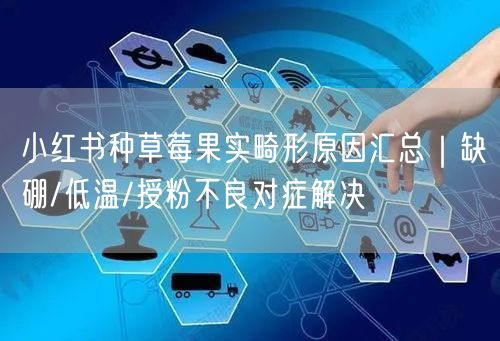 小红书种草莓果实畸形原因汇总｜缺硼/低温/授粉不良对症解决