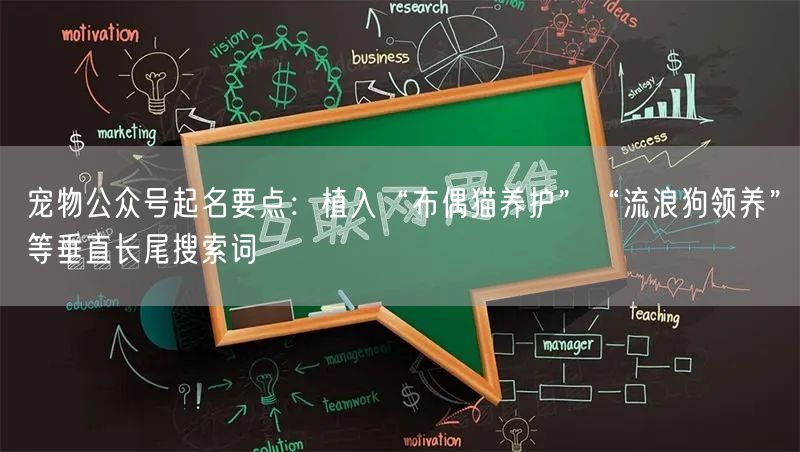 宠物公众号起名要点：植入“布偶猫养护”“流浪狗领养”等垂直长尾搜索词
